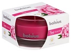 Lumânare parfumată Bolsius în pahar mic - True Scents
