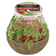 Lumânare BOLSIUS Citronella Patiolight 94 x 91 mm - Frunze de tomate