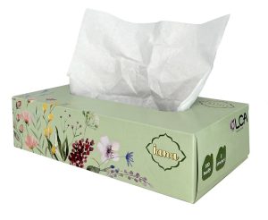 IANA - Șervețele faciale 2 straturi 100 buc