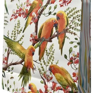 Pungi cadou - Standard LARGE Exotic Birds 26,5x33,5x13cm - PC-SL-EXB