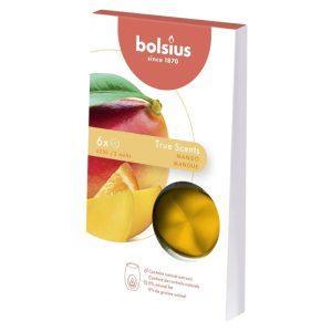 cipsuri-din-parafina-parfumata-mango-6-buc
