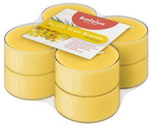 Lumânări pastilă parfumate ~ 8h Bolsius MAXI 8 buc. diverse arome - True Scents